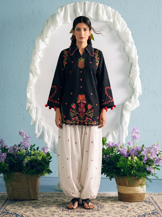 Zartaj Embroidered -2pc