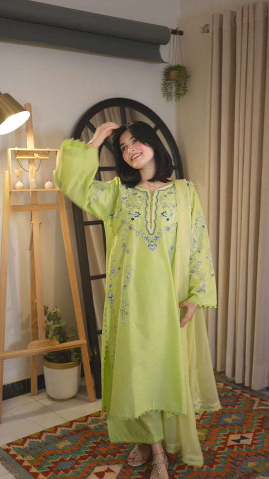 Neemal Embroidered-3pc