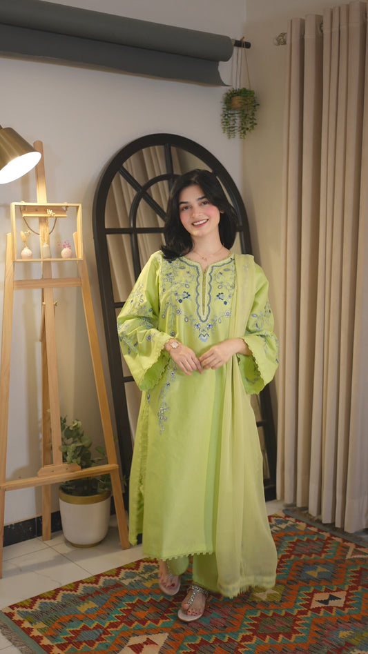 Neemal Embroidered-3pc