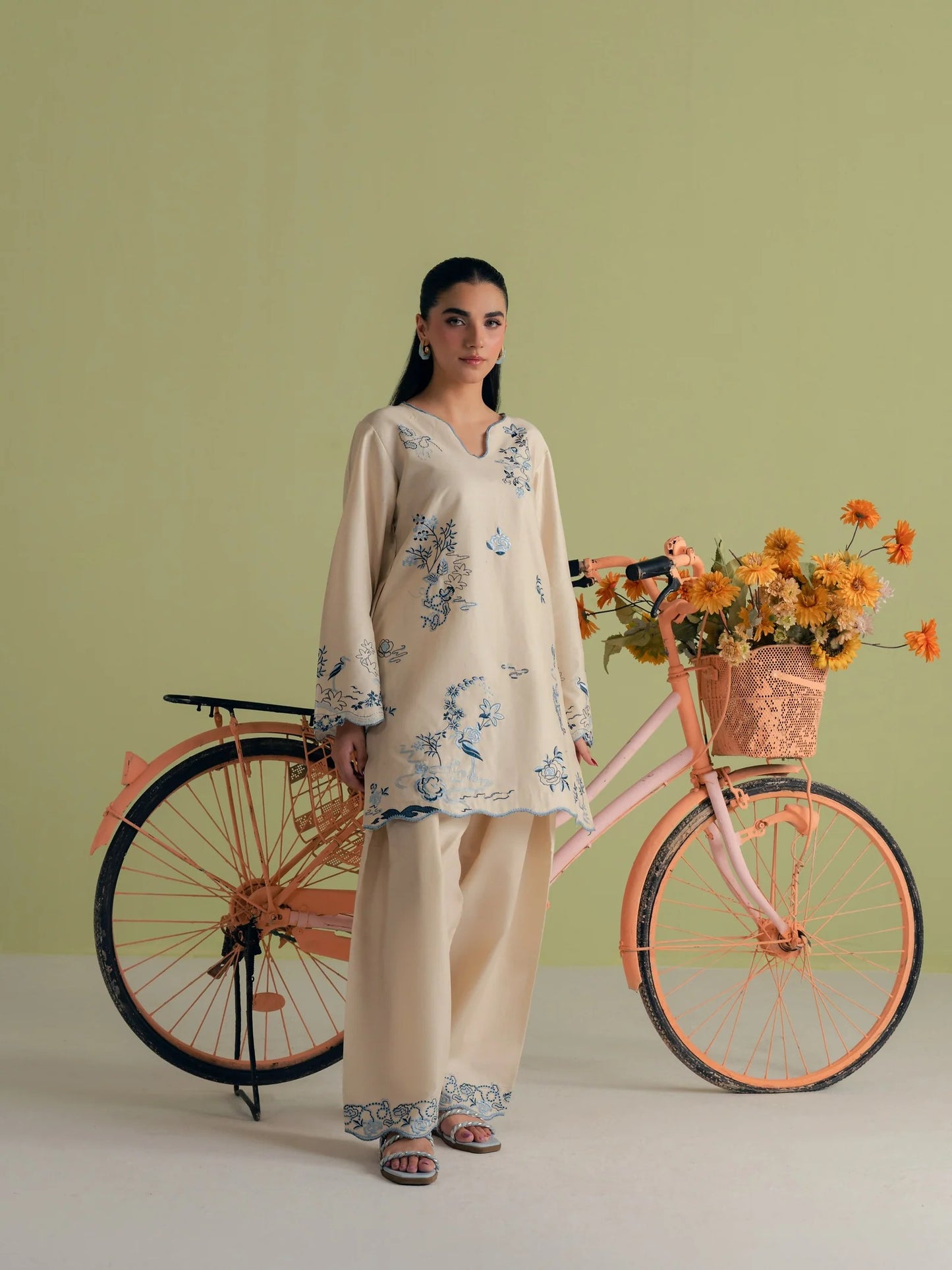 Aabroo Embroidered 2pc